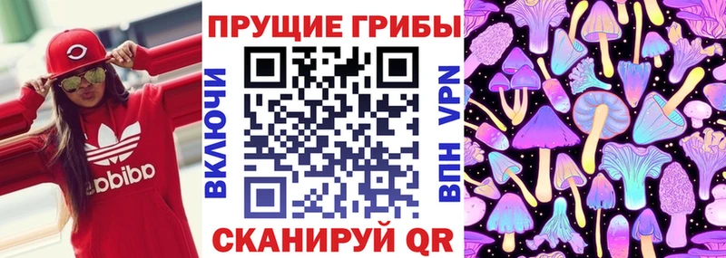 купить наркотик  Звенигород  hydra ССЫЛКА  Галлюциногенные грибы ЛСД 