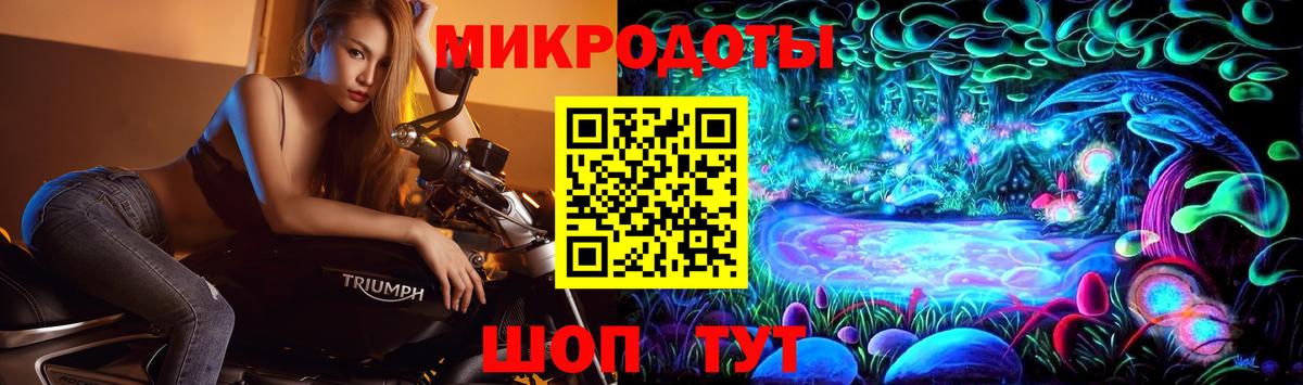 Звенигород  Псилоцибиновые грибы GOLDEN TEACHER  закладка  Вход с VPN 