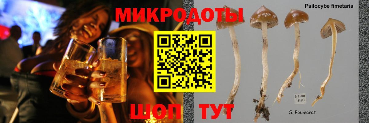 Псилоцибиновые грибы мухоморы Звенигород